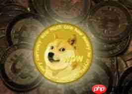 柴犬币和狗狗币哪个更具优势